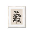 Picture of Black Linen Leaves II _GroupedProduct_Rectangle_Portrait_Framed_Matted_