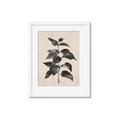 Picture of Black Linen Leaves II _GroupedProduct_Rectangle_Portrait_Framed_Matted_