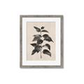 Picture of Black Linen Leaves II _GroupedProduct_Rectangle_Portrait_Framed_Matted_
