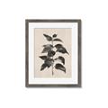 Picture of Black Linen Leaves II _GroupedProduct_Rectangle_Portrait_Framed_Matted_