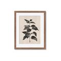 Picture of Black Linen Leaves II _GroupedProduct_Rectangle_Portrait_Framed_Matted_