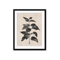 Picture of Black Linen Leaves II _GroupedProduct_Rectangle_Portrait_Framed_Matted_
