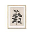 Picture of Black Linen Leaves II _GroupedProduct_Rectangle_Portrait_Framed_Matted_