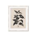 Picture of Black Linen Leaves II _GroupedProduct_Rectangle_Portrait_Framed_Matted_