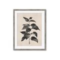 Picture of Black Linen Leaves II _GroupedProduct_Rectangle_Portrait_Framed_Matted_