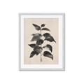 Picture of Black Linen Leaves II _GroupedProduct_Rectangle_Portrait_Framed_Matted_