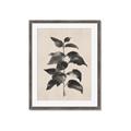 Picture of Black Linen Leaves II _GroupedProduct_Rectangle_Portrait_Framed_Matted_