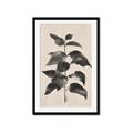 Picture of Black Linen Leaves II _GroupedProduct_Rectangle_Portrait_Framed_Matted_