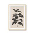 Picture of Black Linen Leaves II _GroupedProduct_Rectangle_Portrait_Framed_Matted_