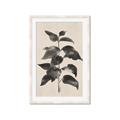 Picture of Black Linen Leaves II _GroupedProduct_Rectangle_Portrait_Framed_Matted_