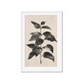 Picture of Black Linen Leaves II _GroupedProduct_Rectangle_Portrait_Framed_Matted_
