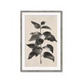 Picture of Black Linen Leaves II _GroupedProduct_Rectangle_Portrait_Framed_Matted_