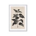 Picture of Black Linen Leaves II _GroupedProduct_Rectangle_Portrait_Framed_Matted_