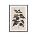 Picture of Black Linen Leaves II _GroupedProduct_Rectangle_Portrait_Framed_Matted_