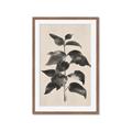 Picture of Black Linen Leaves II _GroupedProduct_Rectangle_Portrait_Framed_Matted_