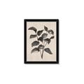 Picture of Black Linen Leaves IV _GroupedProduct_Rectangle_Portrait_Framed_Matted_