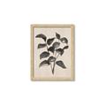 Picture of Black Linen Leaves IV _GroupedProduct_Rectangle_Portrait_Framed_Matted_