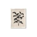 Picture of Black Linen Leaves IV _GroupedProduct_Rectangle_Portrait_Framed_Matted_