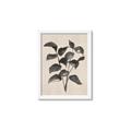 Picture of Black Linen Leaves IV _GroupedProduct_Rectangle_Portrait_Framed_Matted_