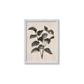 Picture of Black Linen Leaves IV _GroupedProduct_Rectangle_Portrait_Framed_Matted_