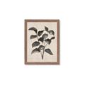 Picture of Black Linen Leaves IV _GroupedProduct_Rectangle_Portrait_Framed_Matted_