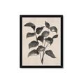 Picture of Black Linen Leaves IV _GroupedProduct_Rectangle_Portrait_Framed_Matted_
