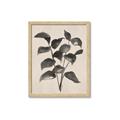 Picture of Black Linen Leaves IV _GroupedProduct_Rectangle_Portrait_Framed_Matted_