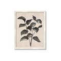 Picture of Black Linen Leaves IV _GroupedProduct_Rectangle_Portrait_Framed_Matted_