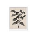 Picture of Black Linen Leaves IV _GroupedProduct_Rectangle_Portrait_Framed_Matted_