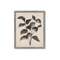 Picture of Black Linen Leaves IV _GroupedProduct_Rectangle_Portrait_Framed_Matted_