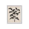 Picture of Black Linen Leaves IV _GroupedProduct_Rectangle_Portrait_Framed_Matted_