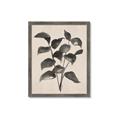 Picture of Black Linen Leaves IV _GroupedProduct_Rectangle_Portrait_Framed_Matted_