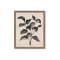 Picture of Black Linen Leaves IV _GroupedProduct_Rectangle_Portrait_Framed_Matted_