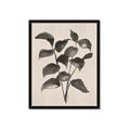 Picture of Black Linen Leaves IV _GroupedProduct_Rectangle_Portrait_Framed_Matted_
