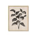 Picture of Black Linen Leaves IV _GroupedProduct_Rectangle_Portrait_Framed_Matted_