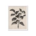 Picture of Black Linen Leaves IV _GroupedProduct_Rectangle_Portrait_Framed_Matted_