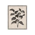Picture of Black Linen Leaves IV _GroupedProduct_Rectangle_Portrait_Framed_Matted_
