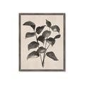 Picture of Black Linen Leaves IV _GroupedProduct_Rectangle_Portrait_Framed_Matted_