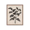 Picture of Black Linen Leaves IV _GroupedProduct_Rectangle_Portrait_Framed_Matted_