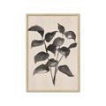 Picture of Black Linen Leaves IV _GroupedProduct_Rectangle_Portrait_Framed_Matted_