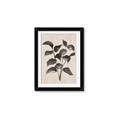 Picture of Black Linen Leaves IV _GroupedProduct_Rectangle_Portrait_Framed_Matted_