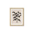 Picture of Black Linen Leaves IV _GroupedProduct_Rectangle_Portrait_Framed_Matted_