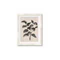 Picture of Black Linen Leaves IV _GroupedProduct_Rectangle_Portrait_Framed_Matted_