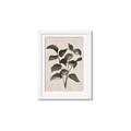 Picture of Black Linen Leaves IV _GroupedProduct_Rectangle_Portrait_Framed_Matted_