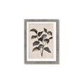 Picture of Black Linen Leaves IV _GroupedProduct_Rectangle_Portrait_Framed_Matted_