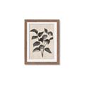 Picture of Black Linen Leaves IV _GroupedProduct_Rectangle_Portrait_Framed_Matted_