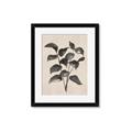 Picture of Black Linen Leaves IV _GroupedProduct_Rectangle_Portrait_Framed_Matted_