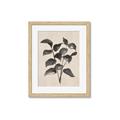 Picture of Black Linen Leaves IV _GroupedProduct_Rectangle_Portrait_Framed_Matted_