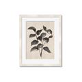 Picture of Black Linen Leaves IV _GroupedProduct_Rectangle_Portrait_Framed_Matted_