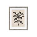 Picture of Black Linen Leaves IV _GroupedProduct_Rectangle_Portrait_Framed_Matted_